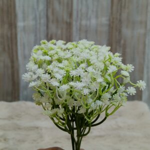 Babys Breath Gypsophila Bouquets Flower