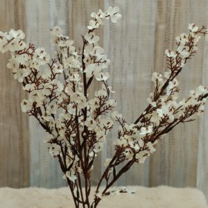 Babys Breath Gypsophila Flower