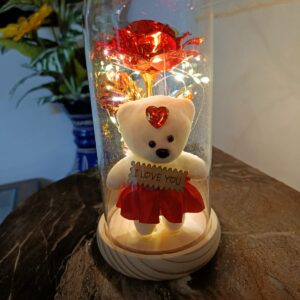 valentine's day gift